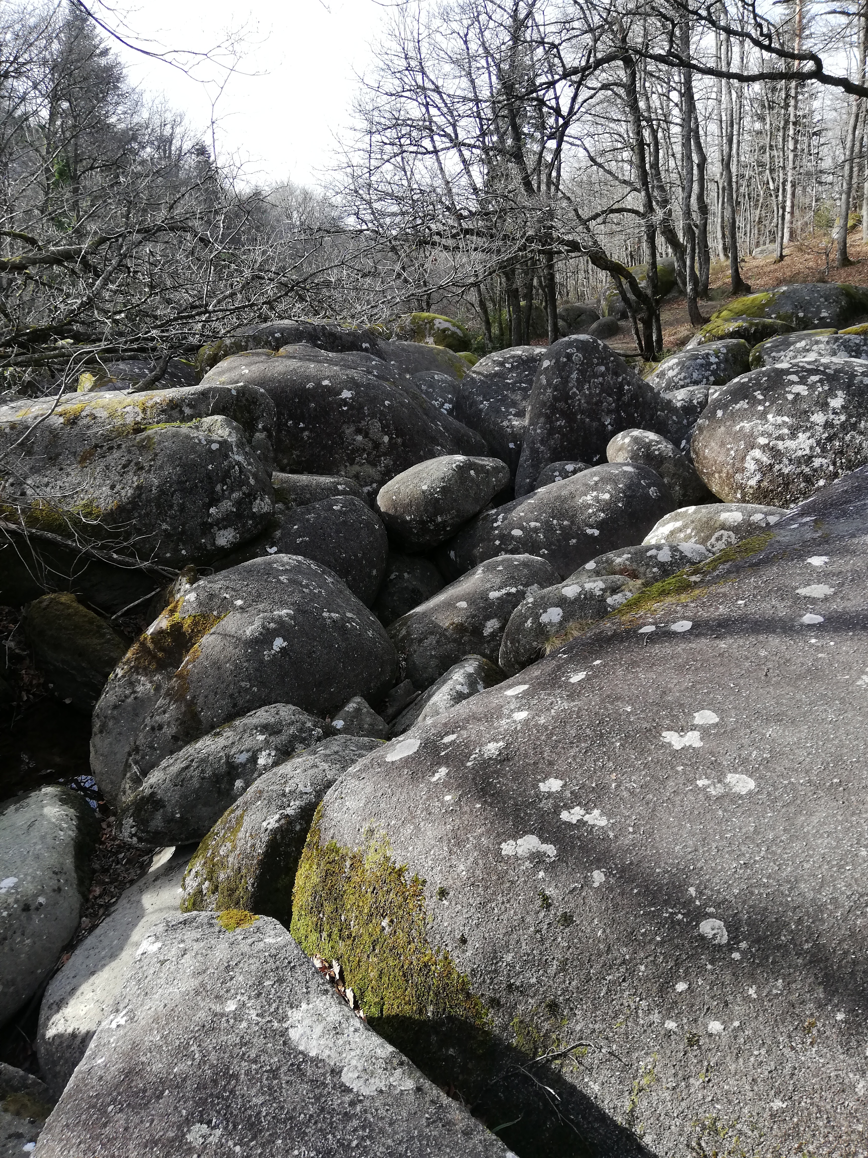 Photo n° 7 de l'avis de Lorene.o fait le 13/03/2019 à 21:32