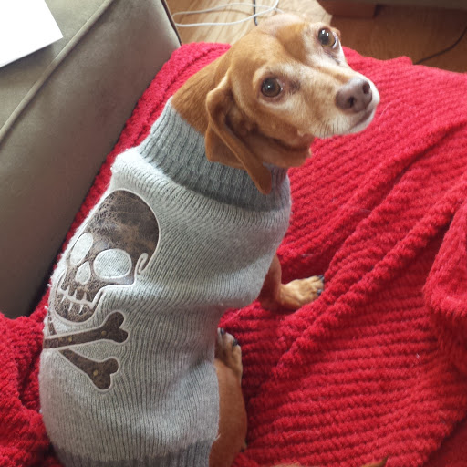 Pet Supply Store «Petco Animal Supplies», reviews and photos, 551 W Hampden Ave, Englewood, CO 80110, USA