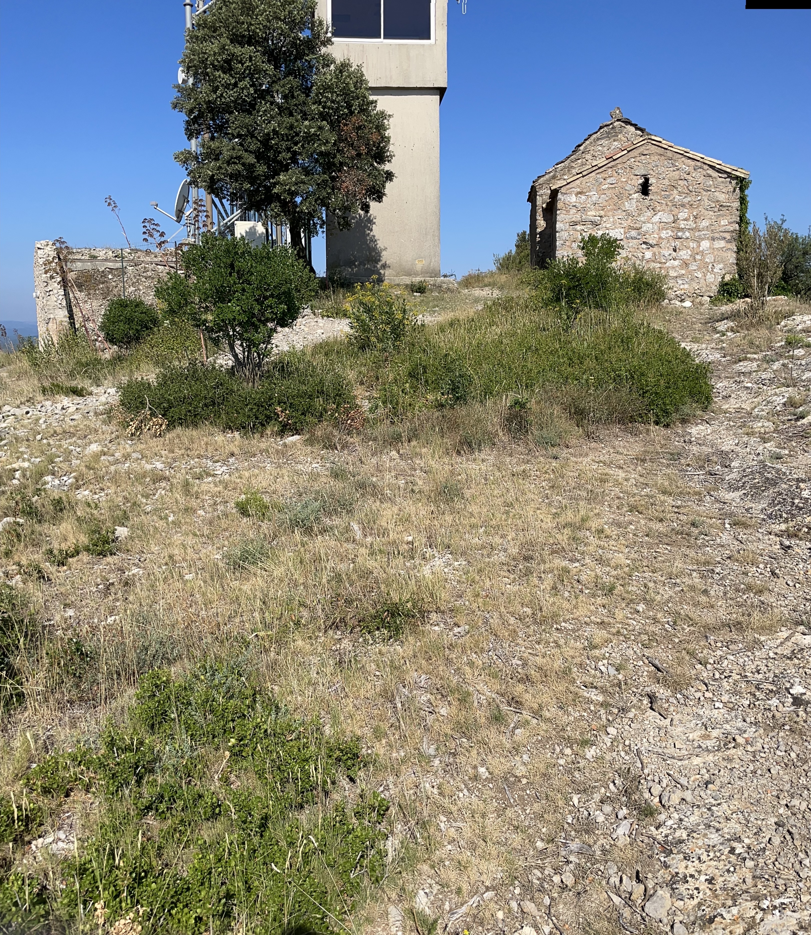Photo n° 3 de l'avis de stéphane.a fait le 14/07/2022 à 16:36