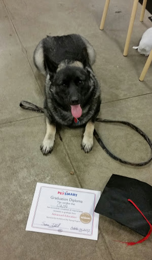 Pet Supply Store «PetSmart», reviews and photos, 475 Bank St, Waterbury, CT 06708, USA