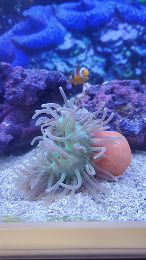 Pet Supply Store «Petco Animal Supplies», reviews and photos, 2140 E Blvd St, Kokomo, IN 46902, USA