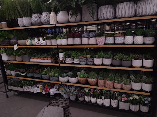 Discount Store «Big Lots», reviews and photos, 2431 Columbia Blvd, Bloomsburg, PA 17815, USA