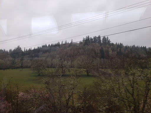 Auto Parts Store «NAPA Auto Parts - Wilson Parts Corporation», reviews and photos, 112 Wichman St S, Tenino, WA 98589, USA