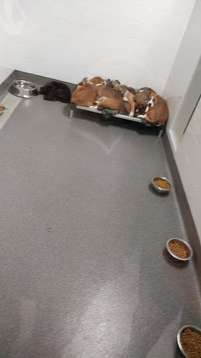 Animal Shelter «Dubuque Regional Humane Society», reviews and photos, 4242 Chavenelle Rd, Dubuque, IA 52002, USA