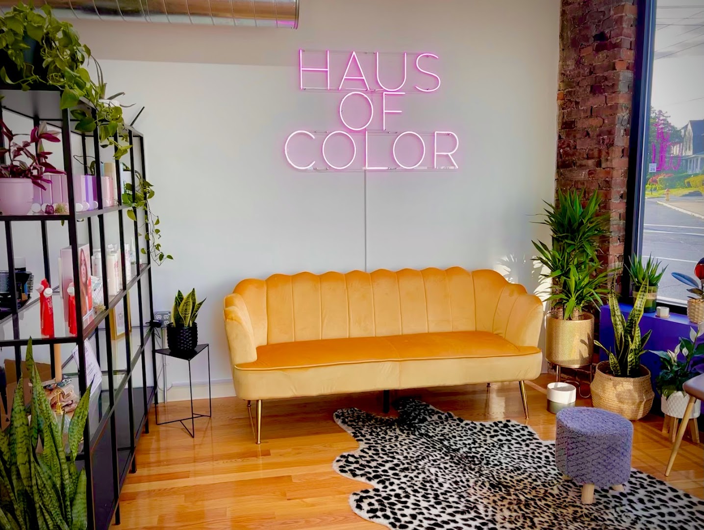 Haus of Color