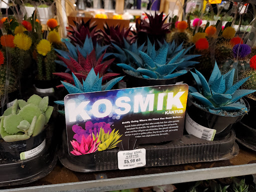 Home Improvement Store «The Home Depot», reviews and photos, 721 S 25th St, Easton, PA 18045, USA