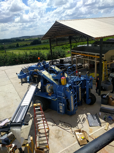 Vineyard «Lakeridge Winery & Vineyards», reviews and photos, 19239 US-27, Clermont, FL 34715, USA