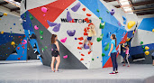 Best Climbing Walls In Auckland Near You