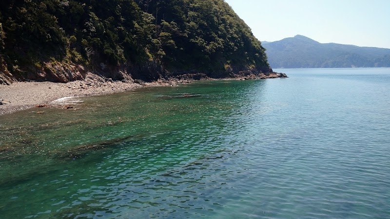 前網漁港 宮城県石巻市 道路 港湾 運河技術者協会 グルコミ
