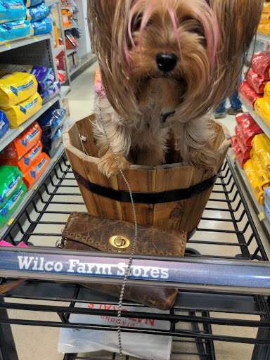 Animal Feed Store «Wilco Farm Store», reviews and photos, 815 W Main St, Battle Ground, WA 98604, USA