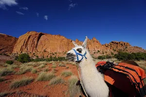Wilderness Ridge Trail Llamas image