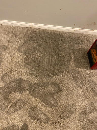 Plumber «Roto-Rooter Plumbing & Drain Services», reviews and photos, 206 S Ludlow St, Dayton, OH 45402, USA