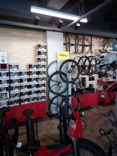 Bicycle Store «Miami Beach Bicycle Center», reviews and photos, 746 5th St, Miami Beach, FL 33139, USA