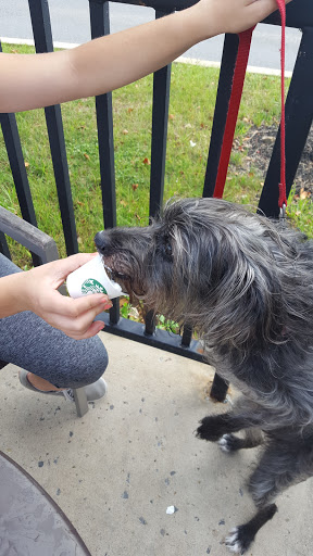 Coffee Shop «Starbucks», reviews and photos, 105 Marketplace Boulevard, Selinsgrove, PA 17870, USA