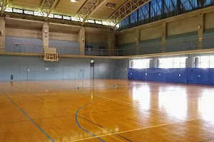 Inagi City General Gymnasium image