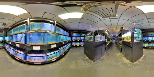 Tropical Fish Store «AquaTerra», reviews and photos, 8492 Gravenstein Hwy, Cotati, CA 94931, USA