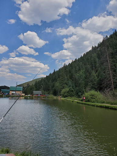 Fishing Lake «Mount Evans Trout Fishing LLC», reviews and photos, 4121 Chicago Creek Rd, Idaho Springs, CO 80452, USA