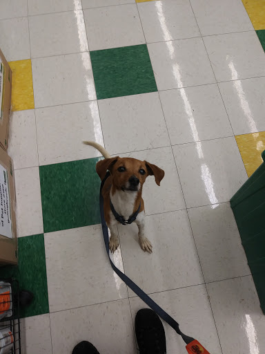 Pet Supply Store «Pet Supplies Plus», reviews and photos, 270 N Bolingbrook Dr, Bolingbrook, IL 60440, USA