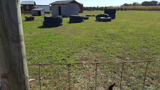 Christmas Tree Farm «Piney Acres», reviews and photos, 1115 E 1000 N, Fortville, IN 46040, USA