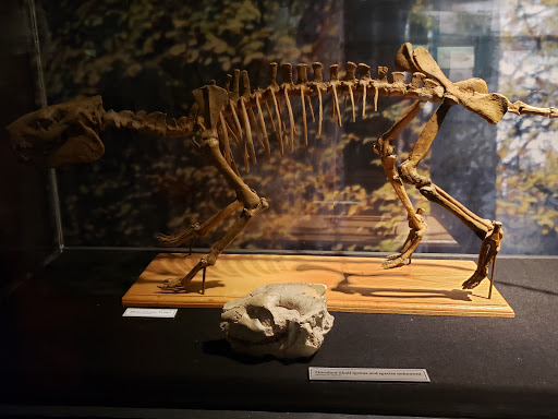 Museum «Museum of World Treasures», reviews and photos, 835 E 1st St N, Wichita, KS 67202, USA