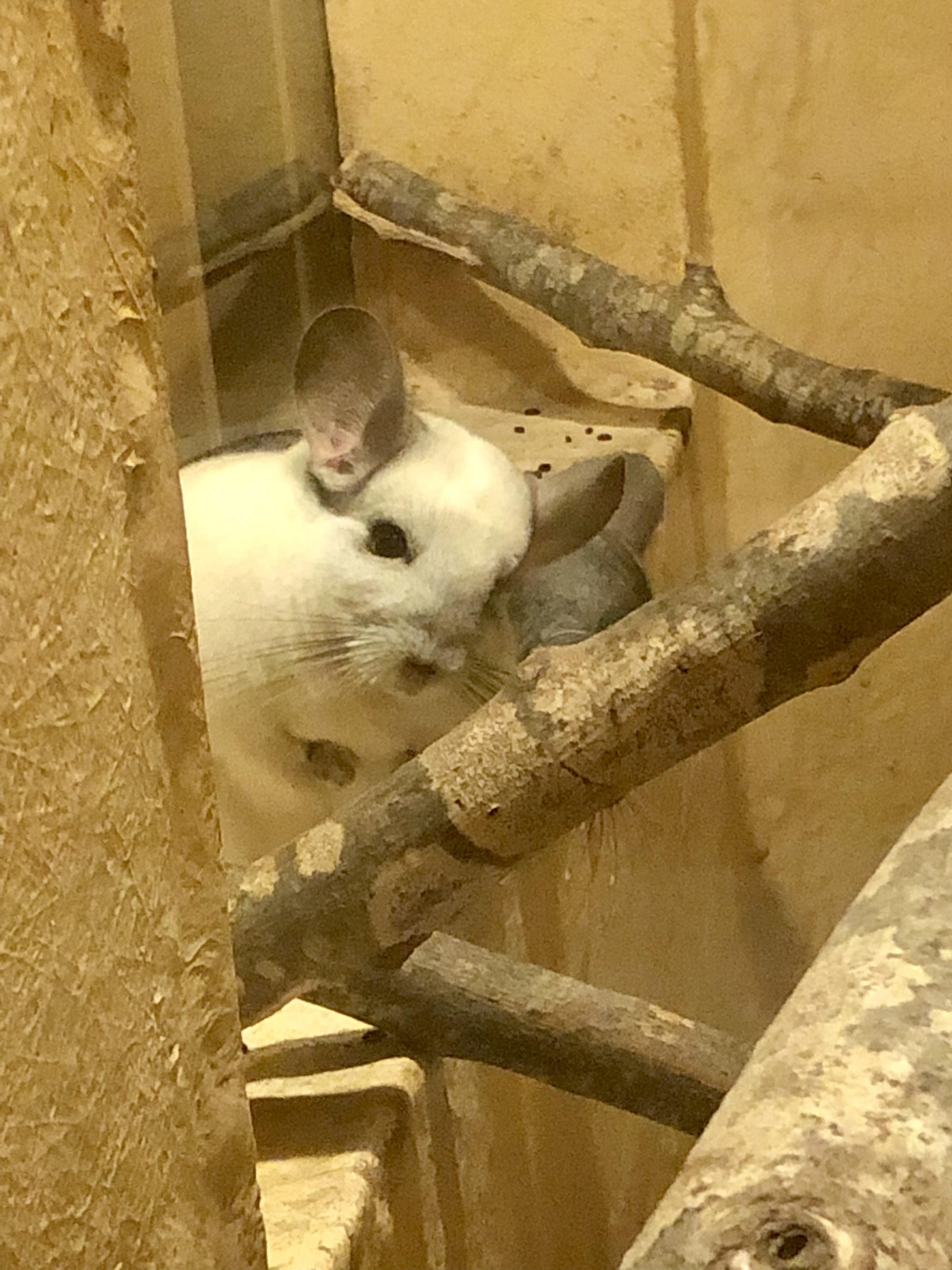 Photo n° 4 de l'avis de Ophelie.r fait le 19/04/2022 à 10:25