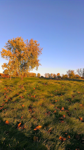 Golf Course «TPC Michigan», reviews and photos, 1 Nicklaus Dr, Dearborn, MI 48120, USA