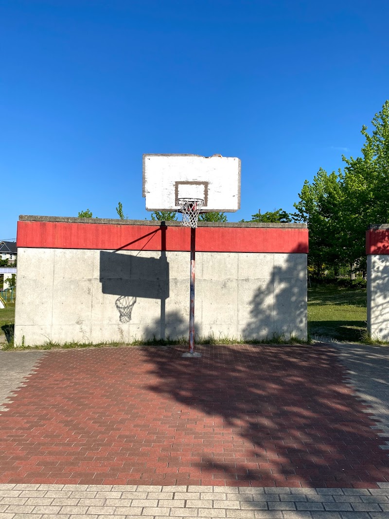 紫山2丁目公園のバスケットゴール