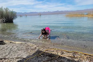 Lake Mohave image