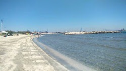 Plage Olga'in fotoğrafı vahşi alan