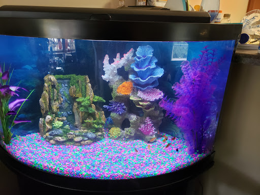 Pet Supply Store «PetSmart», reviews and photos, 4749 Valley View Blvd NW, Roanoke, VA 24012, USA