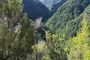 Levada da Ribeira da Janela image