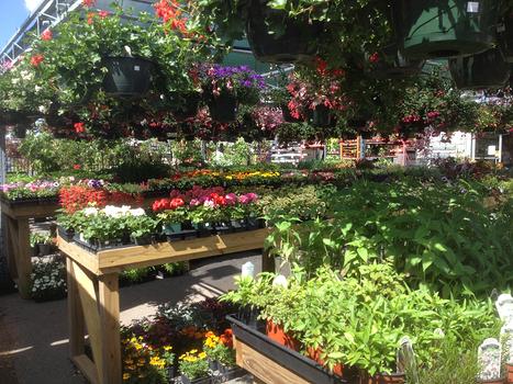 Hardware Store «J & W Hardware Inc», reviews and photos, 1060 Old Trail Rd, Goldsboro, PA 17319, USA