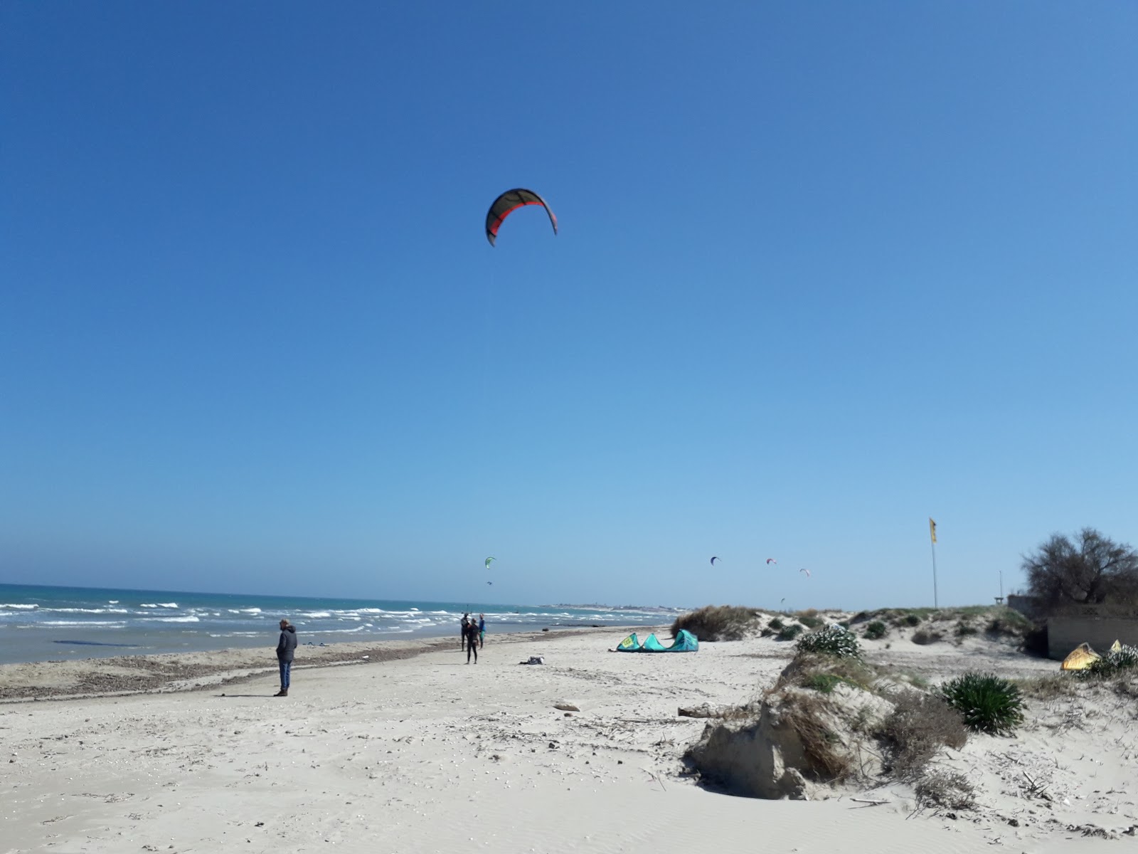 Foto di Alloggi Spiaggiabella zona selvaggia