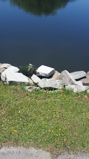 Golf Course «The Tides Golf Club», reviews and photos, 11832 66th Ave N, Seminole, FL 33772, USA