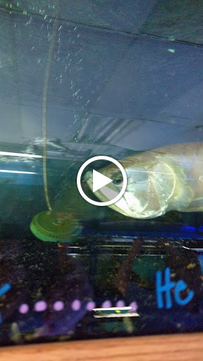 Pet Store «Fish 4 U», reviews and photos, 4010 Highland Dr #1, Millcreek, UT 84124, USA