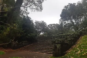 Kauri Steps, Cornwall Park image