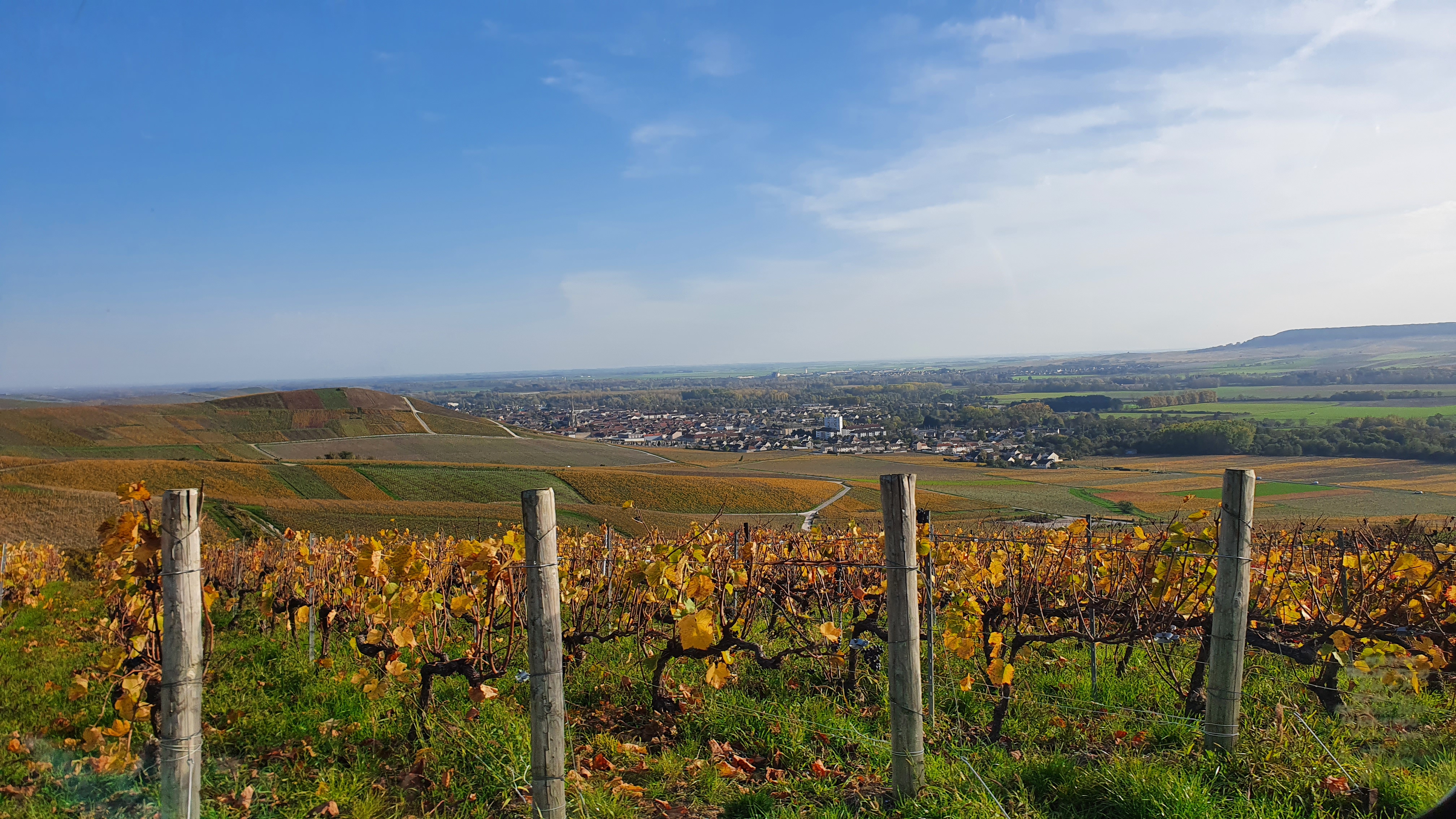 Photo n° 5 de l'avis de Vincenzo.a fait le 02/11/2022 à 17:18