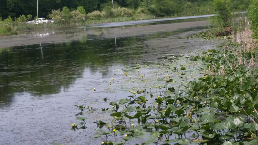 Ski Resort «Shawnee Mountain Ski Area», reviews and photos, 401 Hollow Rd, East Stroudsburg, PA 18301, USA