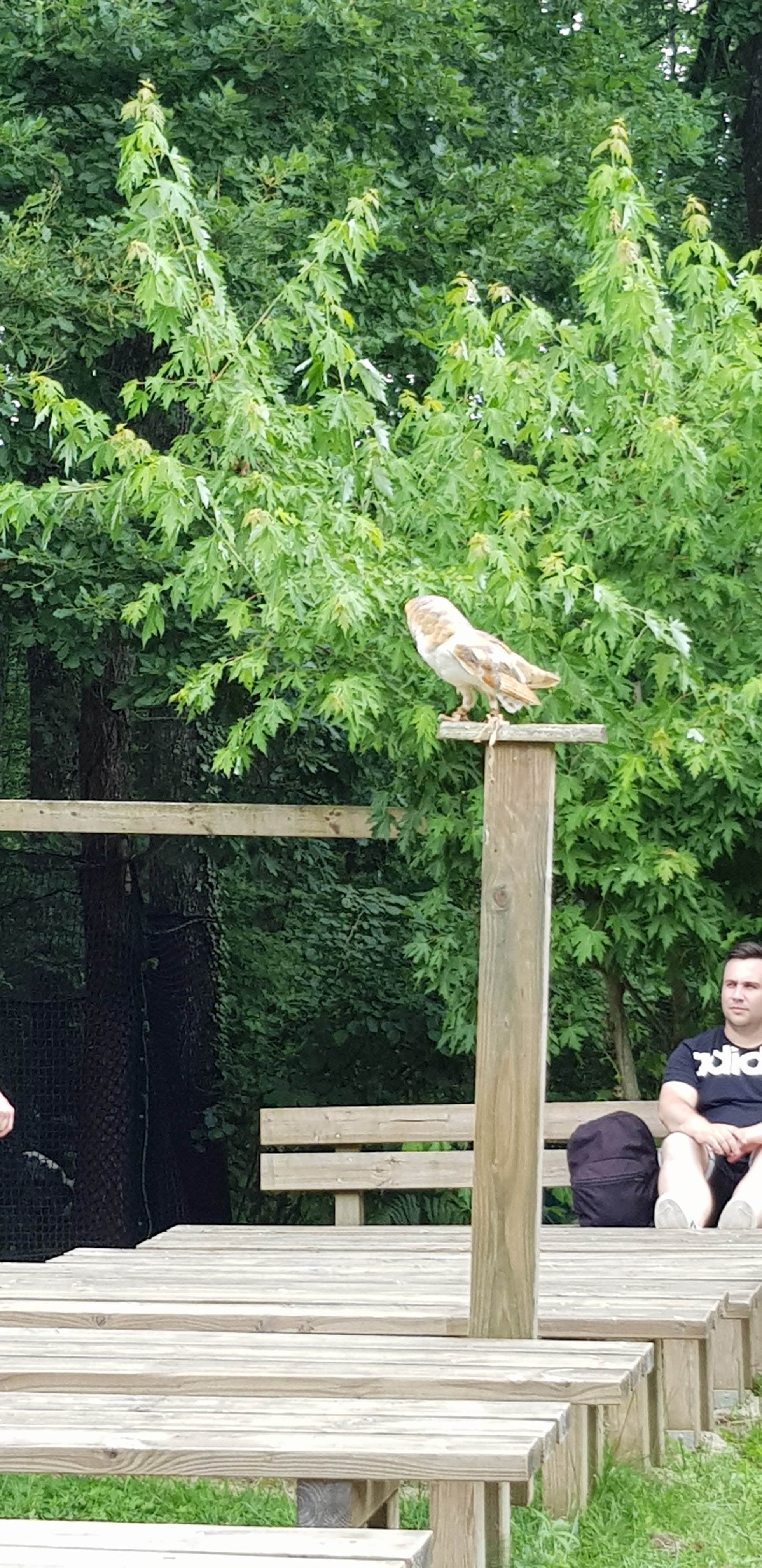 Photo n° 5 de l'avis de Mathilde.o fait le 16/07/2018 à 04:55