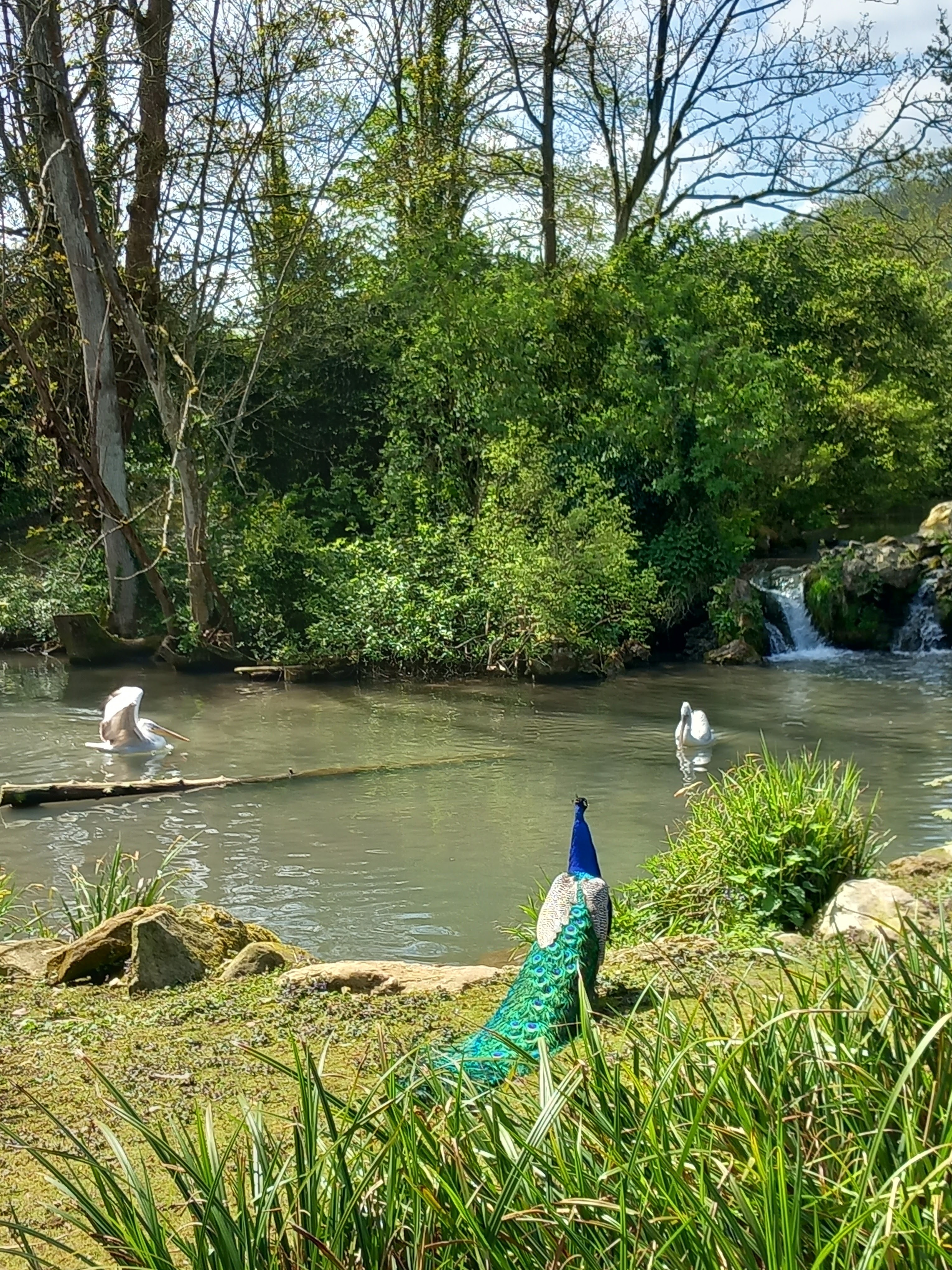 Photo n° 2 de l'avis de Karl.h fait le 01/05/2023 à 06:31