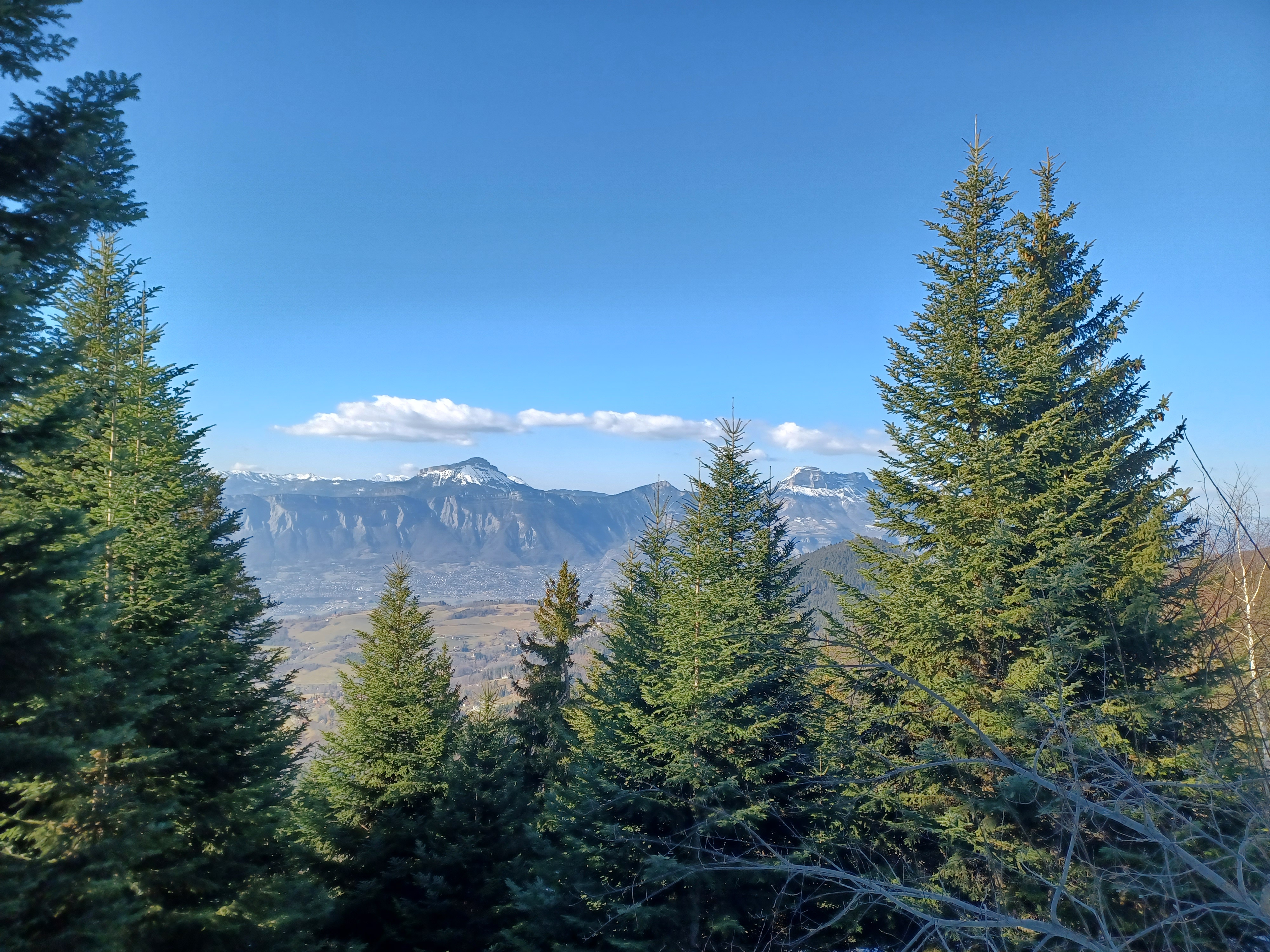 Photo n° 4 de l'avis de Françoise.u fait le 19/03/2022 à 18:44