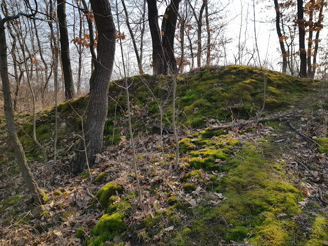 Budakeszi, Pátyi út 57, 2092 Magyarország