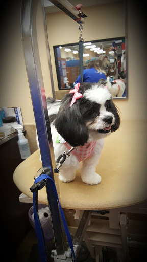 Pet Supply Store «PetSmart», reviews and photos, 533 S Broad St, Meriden, CT 06450, USA