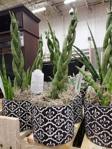 Home Improvement Store «The Home Depot», reviews and photos, 10800 Brookpark Rd, Cleveland, OH 44130, USA