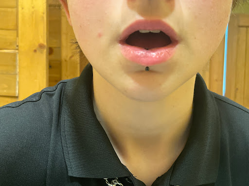 Explore willow tattoo ideas, creative tattoo ideas in Osage Beach, available at Sailors Tattoo and Piercing, LLC