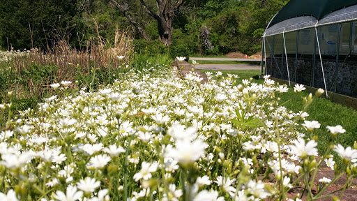 State Park «Rosaryville State Park», reviews and photos, 7805 W Marlton Ave, Clinton, MD 20735, USA