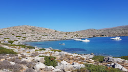 Analipsi Beach'in fotoğrafı vahşi alan