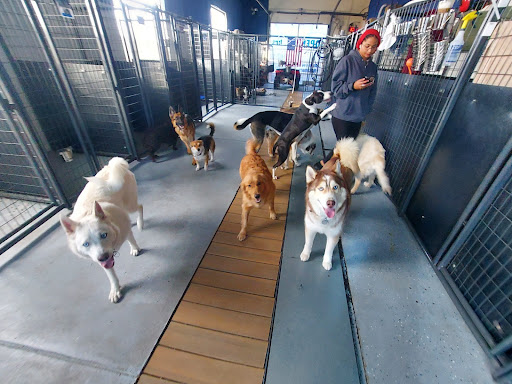 Smudge's Dog House, Boarding Daycare Grooming Self Serve Wash.