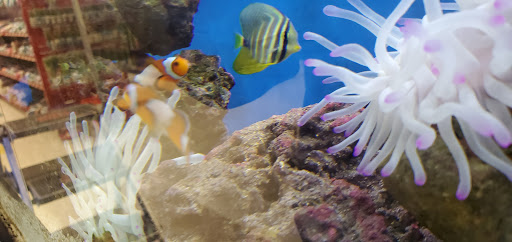 Pet Supply Store «Petco Animal Supplies», reviews and photos, 200 Center Blvd S, Christiana, DE 19702, USA