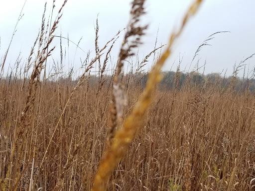 Nature Preserve «Wolf Creek Environmental Center», reviews and photos, 6100 Ridge Rd, Wadsworth, OH 44281, USA